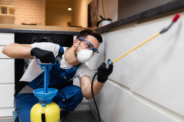 Best Local Pest Control Services  in Lincoln Center, KS