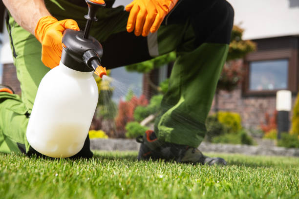 Best Bed Bug Extermination  in Lincoln Center, KS