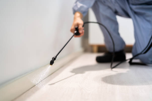 Best Termite Control Services  in Lincoln Center, KS