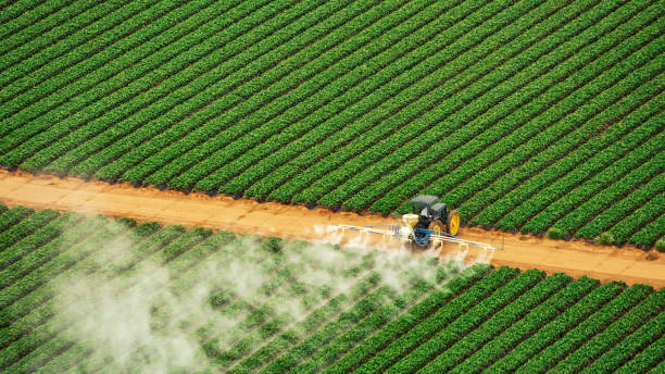 Best Termite Control Services  in Lincoln Center, KS